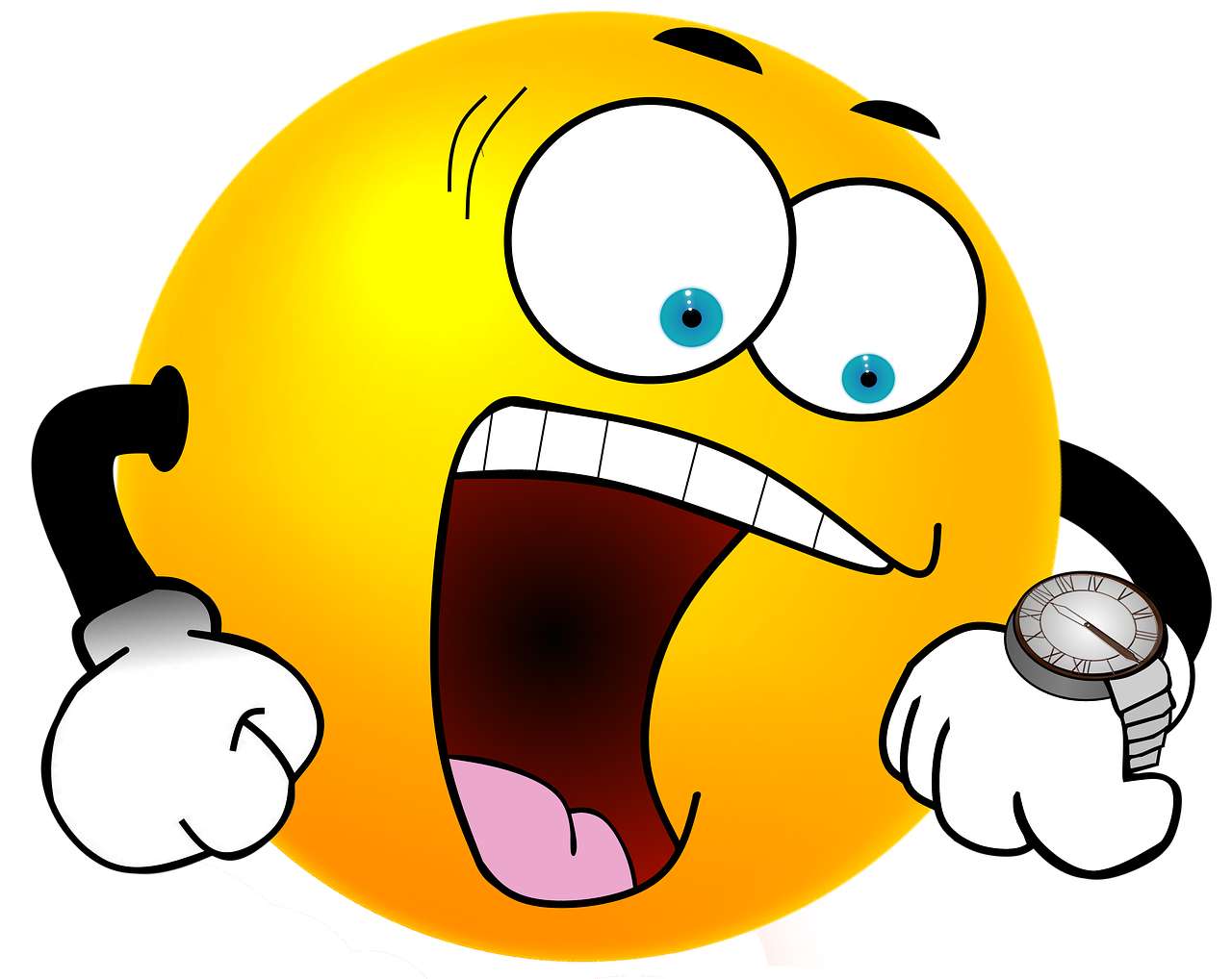 Image by Christian Dorn from Pixabay